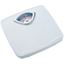 WHT MECHANICAL SCALE