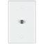 COAX WALL PLATE WHITE