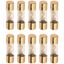 AGU FUSES 10 PK 30A