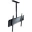 32-75IN CEILING MOUNT(2BX)