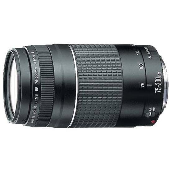 EF75-300 ZOOM LENS