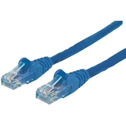 CAT6 CBL 50FT BLU