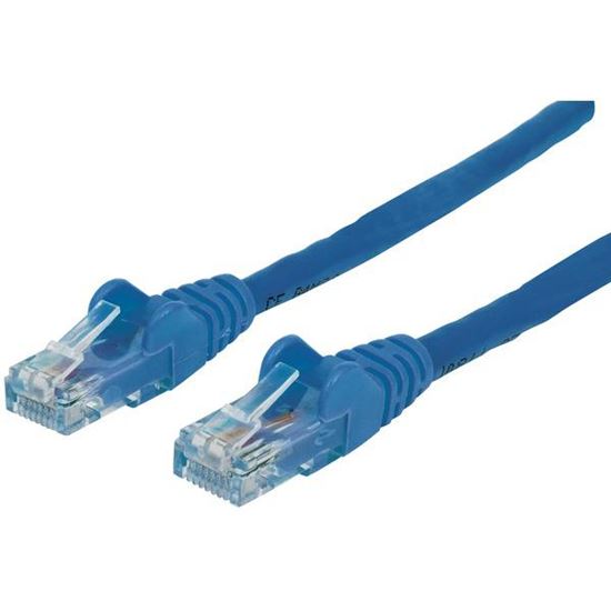 CAT6 CBL 50FT BLU