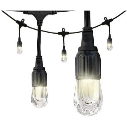 CAFE LED LIGHTS 12FT