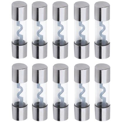 AGU FUSES 10 PK 40A