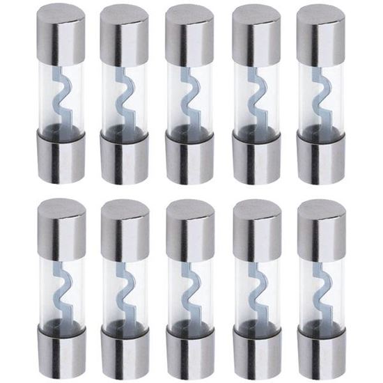 AGU FUSES 10 PK 40A