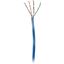 CAT5E350 BLU 1000FT CMR