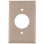 SINGLE FLUSH WALL PLATE