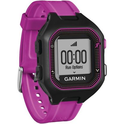 FORERUNNER 25 SM BLKPUR