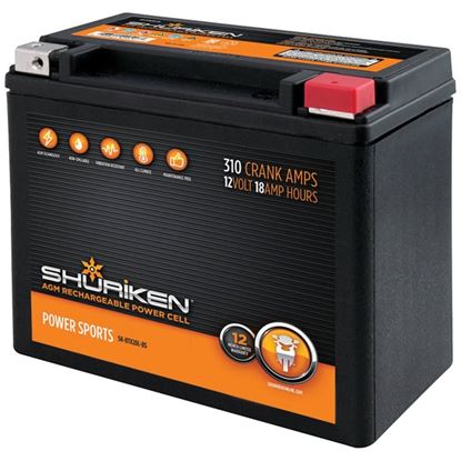 310 CRNK AMPS 18AMP HRS