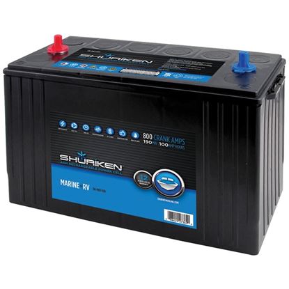 800 CRNK AMPS 100AMP HRS
