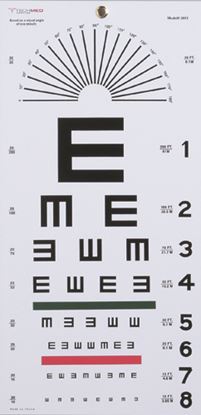 Illiterate Eye Chart 22 x11