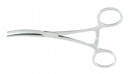 Rochester-Pean Forceps 5-1-2  Curved