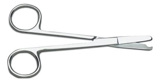 Littauer Scissors- 5 1-2